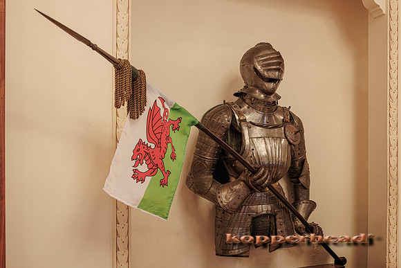 135197 09 2026 Kopperhead