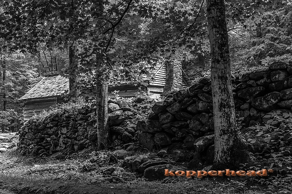 07398 07 2013 Kopperhead