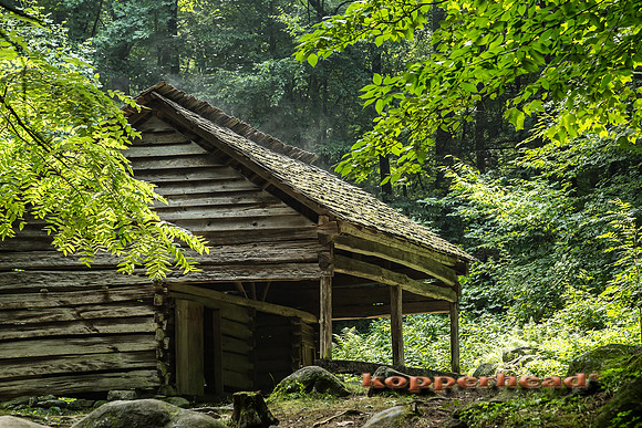 07397 07 2013 Kopperhead-2