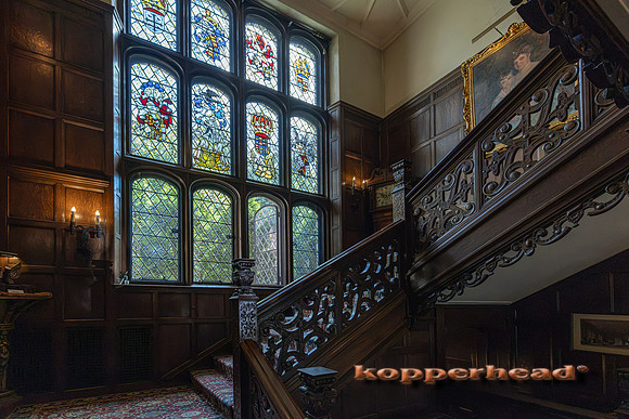 135011 09 2026 Kopperhead