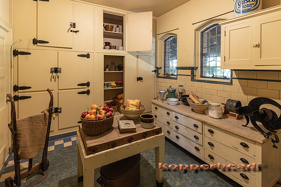 135002 09 2026 Kopperhead