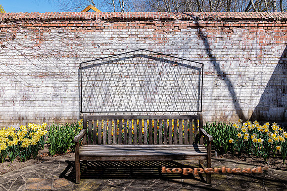 62063 04 2023 Kopperhead