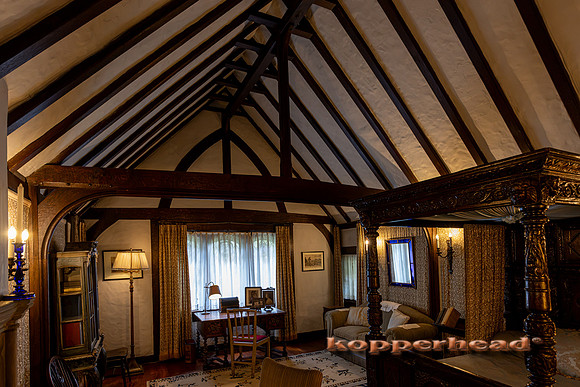 135038 09 2026 Kopperhead