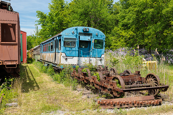 65251 05 2023 Kopperhead