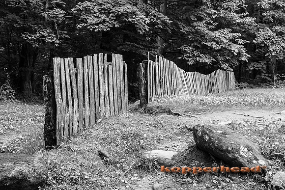 07375 07 2013 Kopperhead