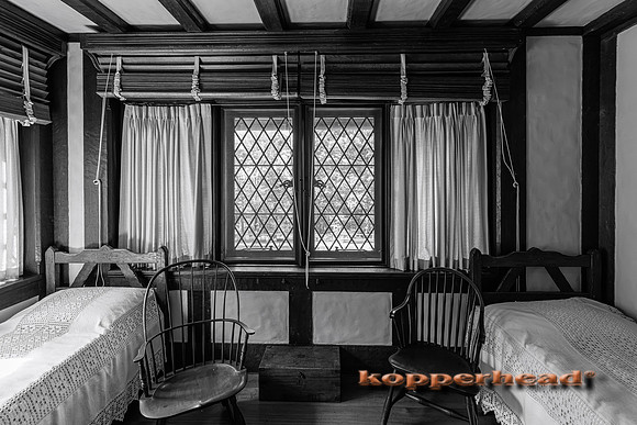135047 09 2026 Kopperhead-2