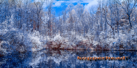 69354ir 05 2016 Kopperhead