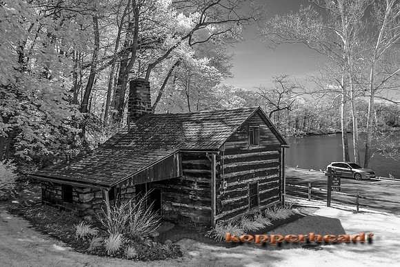 69409ir 05 2016 Kopperhead