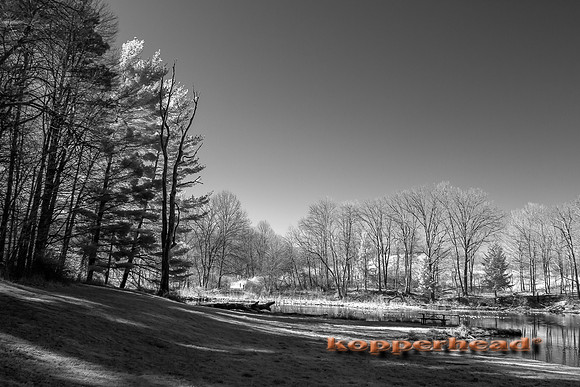 69238ir 04 2016 Kopperhead