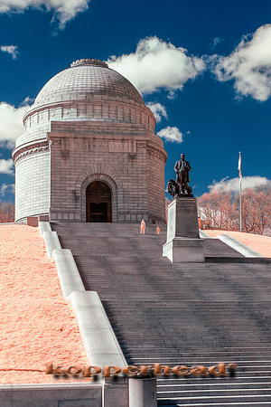 69171ir 04 2016 Kopperhead