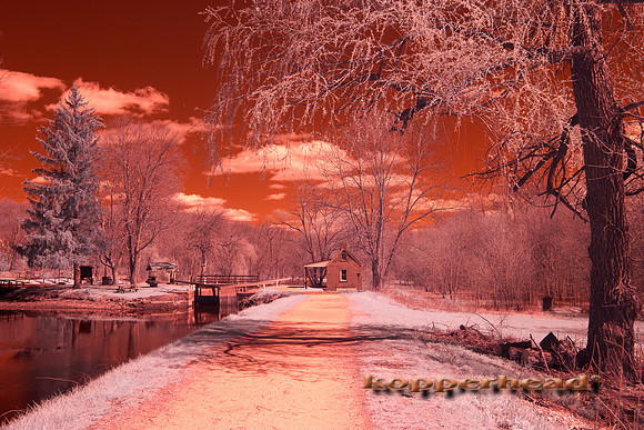 69162ir 04 2016 Kopperhead