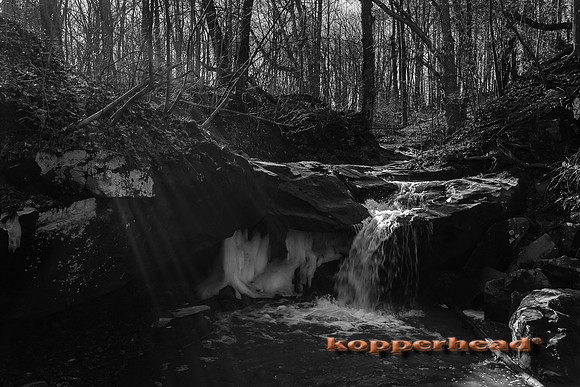6D1481 02 2016 Kopperhead