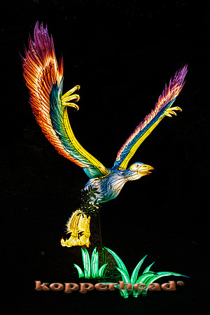 93008 07 2024 Kopperhead