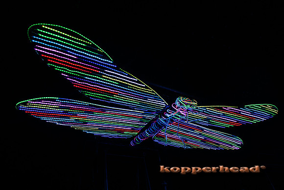 93064 07 2024 Kopperhead