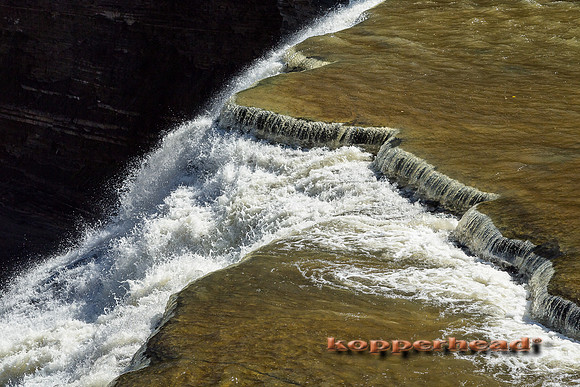 42863 10 2015 Kopperhead