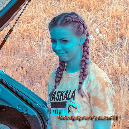 69790ir 07 2016 Kopperhead