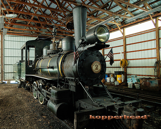 68889 07 2023 Kopperhead