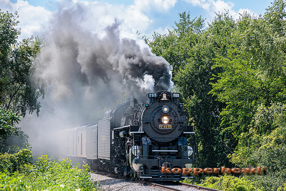 68629 07 2023 Kopperhead