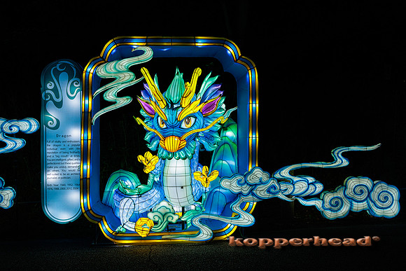 93037 07 2024 Kopperhead