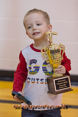 04294 02 2017 Kopperhead