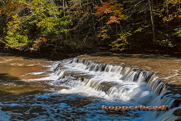 63631h3 10 2016 Kopperhead