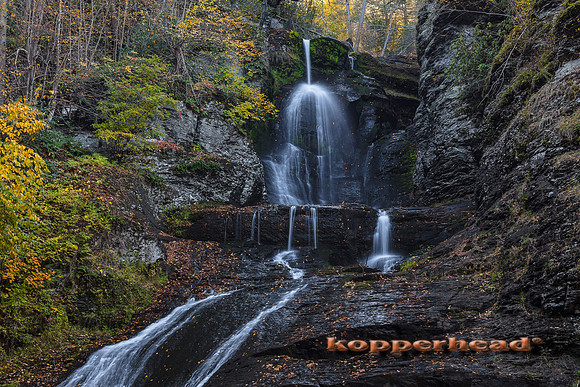 00687 10 2016 Kopperhead