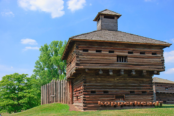 20736x 06 2007 Kopperhead
