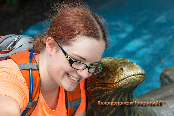 06754 06 2017 Kopperhead