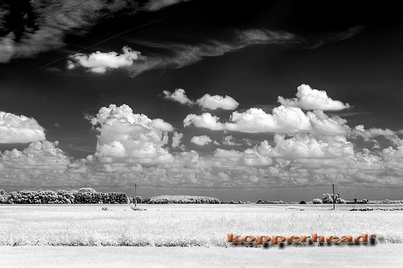 69934ir 08 2016 Kopperhead