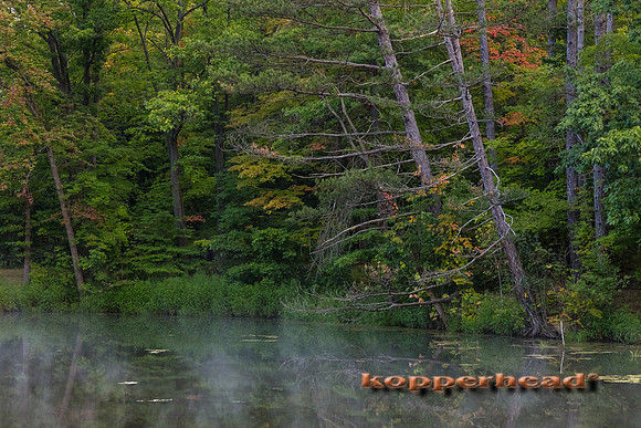10475 09 2017 Kopperhead
