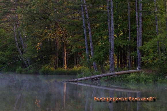 10470 09 2017 Kopperhead