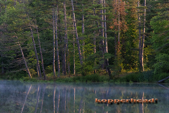 10505 09 2017 Kopperhead