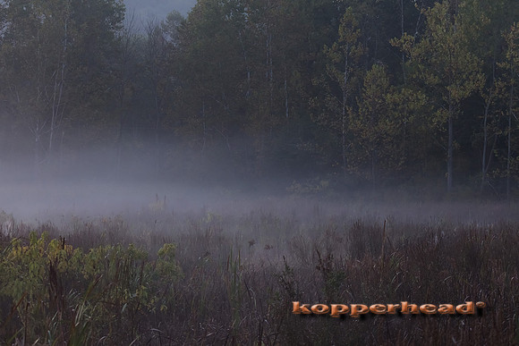 11071 09 2017 Kopperhead
