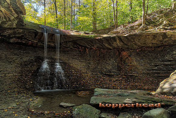 11336hA 10 2017 Kopperhead