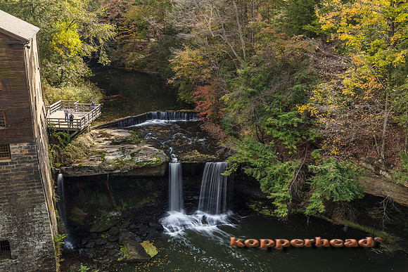 12960 10 2017 Kopperhead