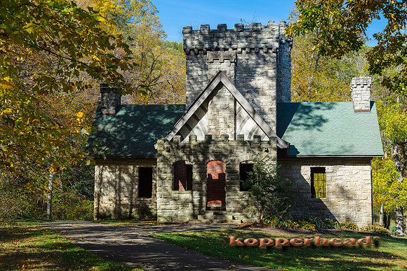 13118 10 2017 Kopperhead