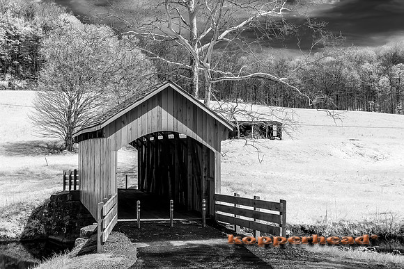 70036ir 04 2017 Kopperhead