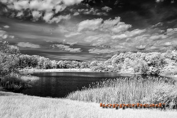 70045ir 05 2017 Kopperhead