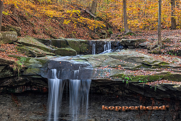 13154hA 01 2011 Kopperhead