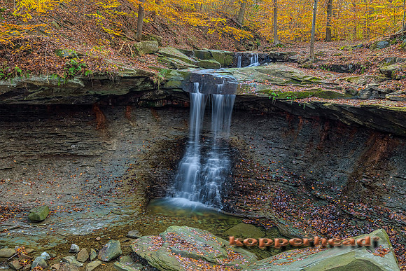 13145hA 01 2011 Kopperhead