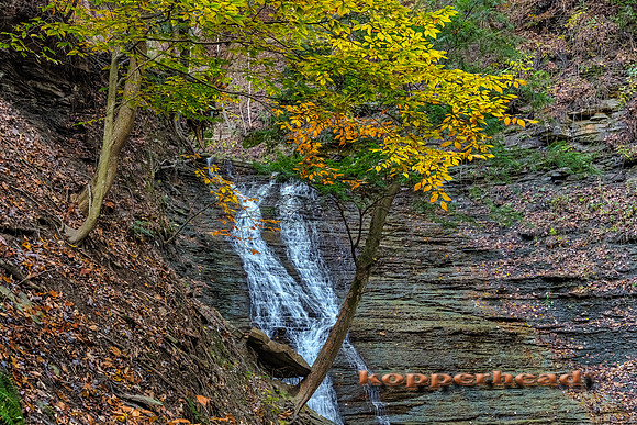 13233hA 01 2011 Kopperhead