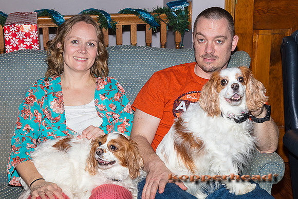 13784 12 2017 Kopperhead