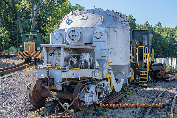 91907 07 2024 Kopperhead