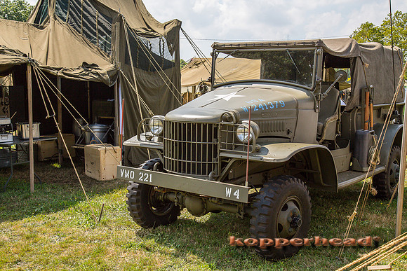 60510 08 2016 Kopperhead