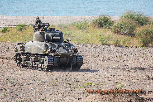 60746 08 2016 Kopperhead