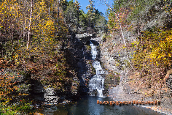 00477 10 2016 Kopperhead