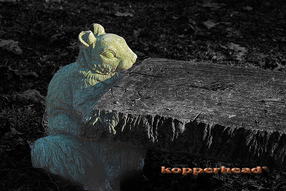 101138 02 2025 Kopperhead