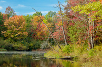 Fall Colors 23-10-18