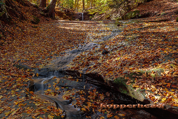 11476 10 2023 Kopperhead