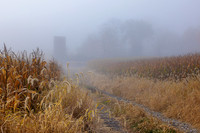 Fall Colors 23-10-23